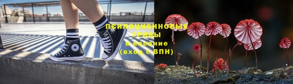 spice Алексин