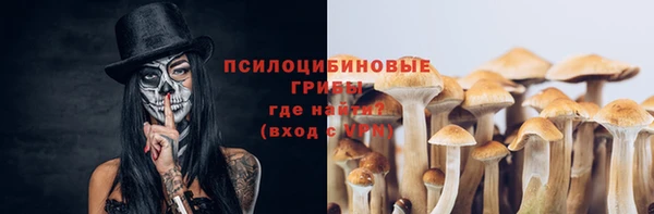 стаф Абаза