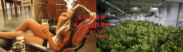 стаф Абаза