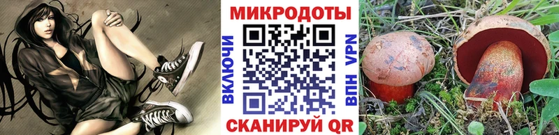 Галлюциногенные грибы Psilocybine cubensis Лодейное Поле